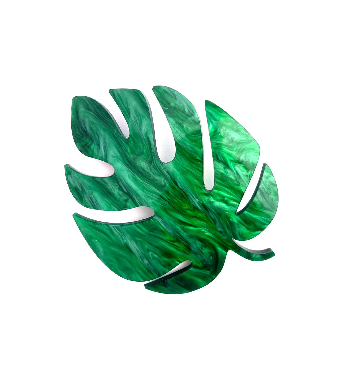 Monstera Leaf