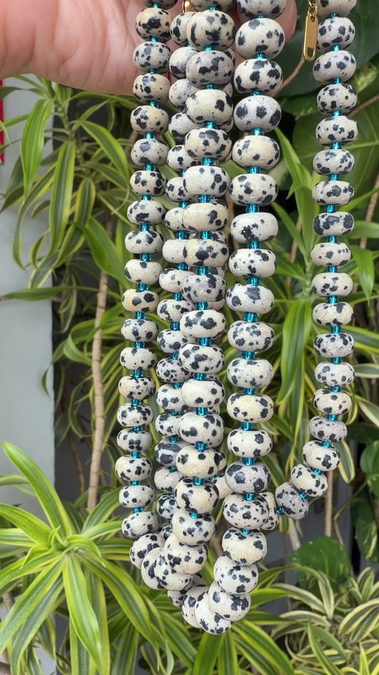 Electric Blue Dalmatian