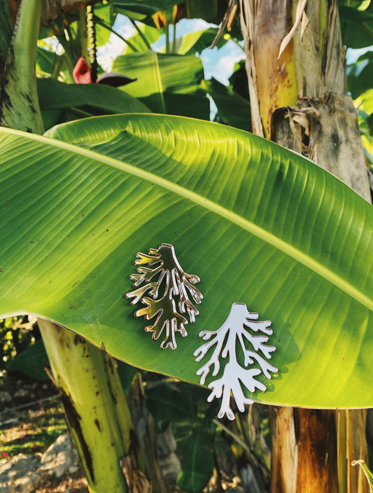 Living Coral Silver Earrings